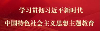 学习贯彻习近平新时代中国特色社会主义思想主题教育